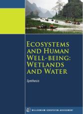 Ecosystems and Human Wellbeing - Wetlands and WaterSynthesis